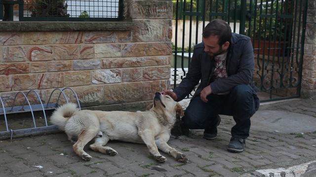 Kopek Korkusu Nasil Yenilir Videolu Anlatim Mynet Kadin Tv