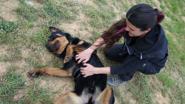 Kopek Egitimi Nasil Verilir Videolu Anlatim Mynet Kadin Tv