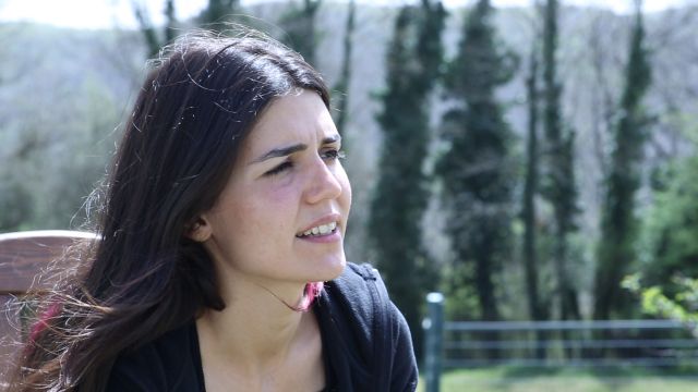 Kopek Egitimine Ne Zaman Baslanmalidir Videolu Anlatim Mynet Kadin Tv
